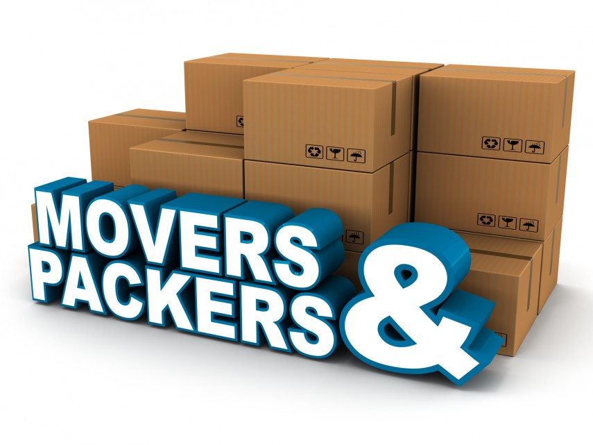 Movers and Packers in Dwarka Sector 1